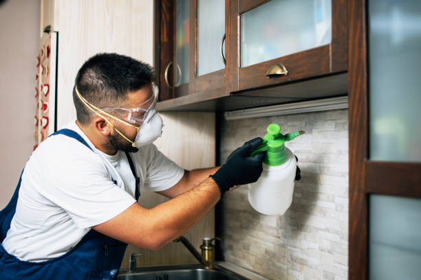 Albany, NY Pest Control Company