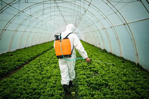 Best Commercial Pest Control Services  in Alba, NY