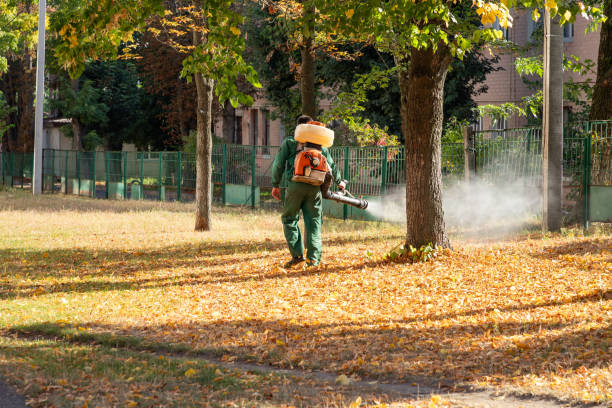 Best Flea Control Services  in Alba, NY